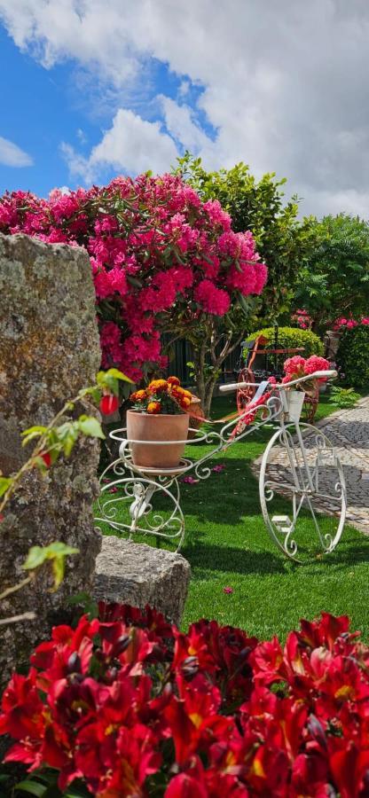 Quinta Do Ribeiro Covilha